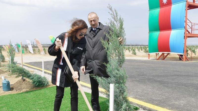 Prezident və xanımı ağac əkdi - FOTO
