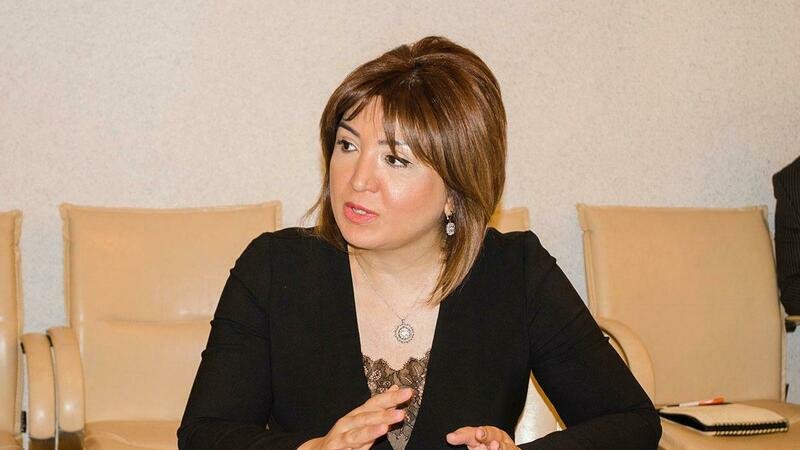 Aynur Camalqızı: "Ermənistan beynəlxalq konvensiyalara meydan oxuyur"