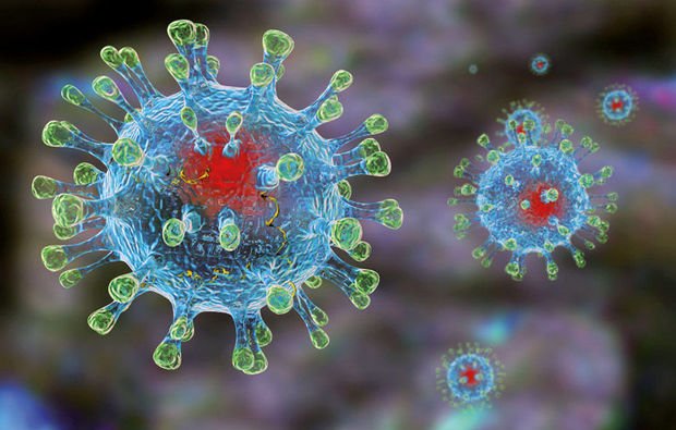 Alimlər koronavirusun “zəif nöqtəsini” Alimlər koronavirusun “zəif nöqtəsini” tapdılar