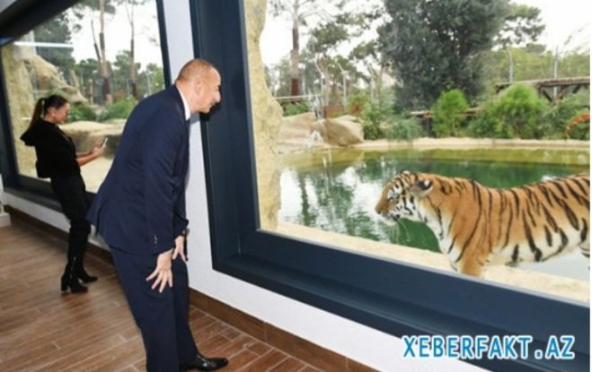 Prezidentlə ailəsi zooparkın açılışında - Fotolar
