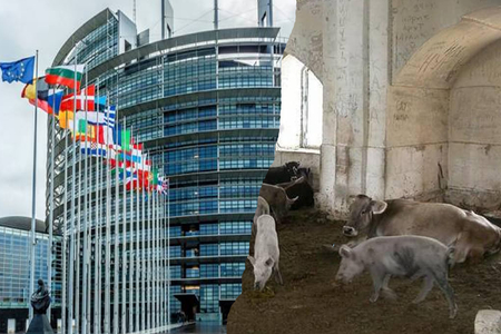 Avropa Parlamentindən məscidi donuz tövləsinə çevirənlərə dəstək-Həyasızlığın son həddi